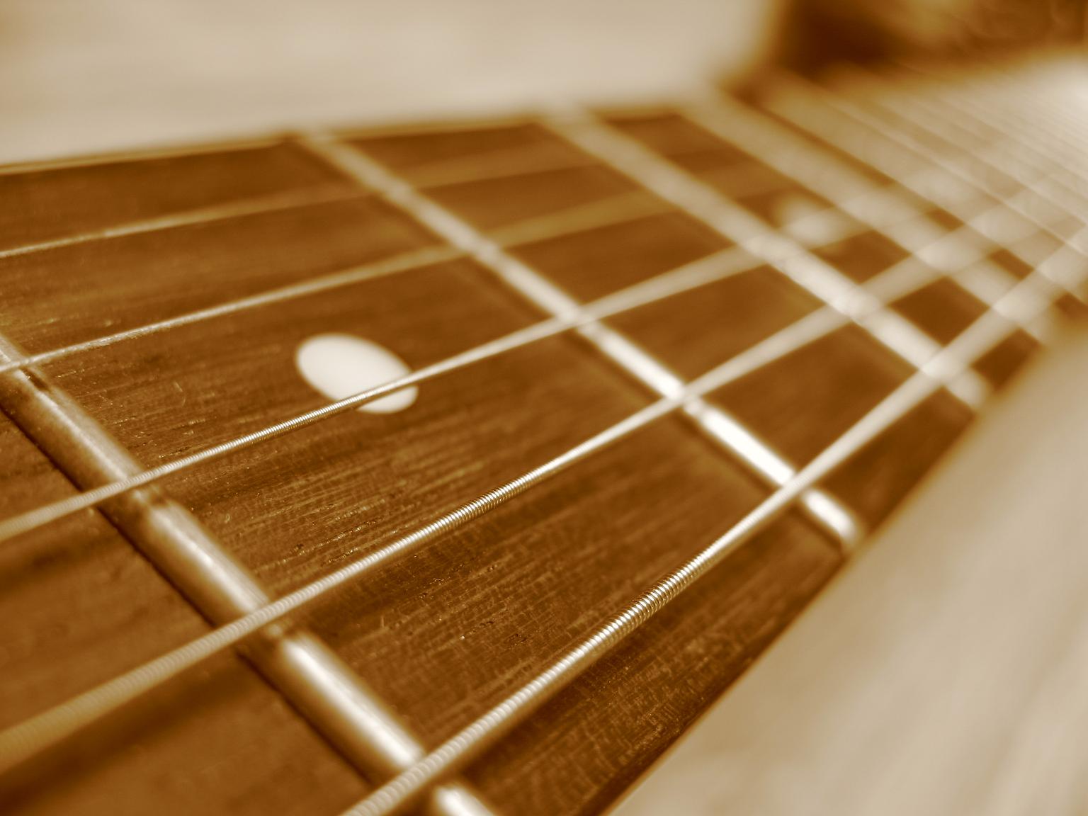 All About Frets