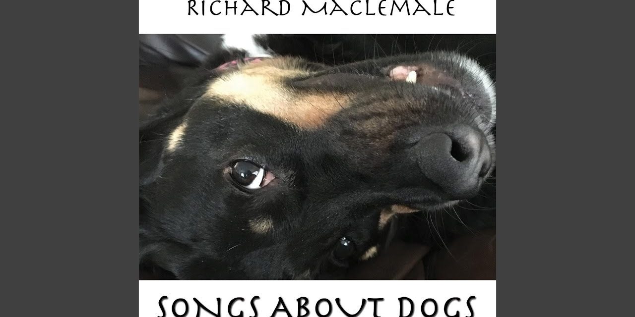 My New Album Release – Songs About Dogs!